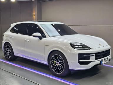 Cayenne (PO536)
