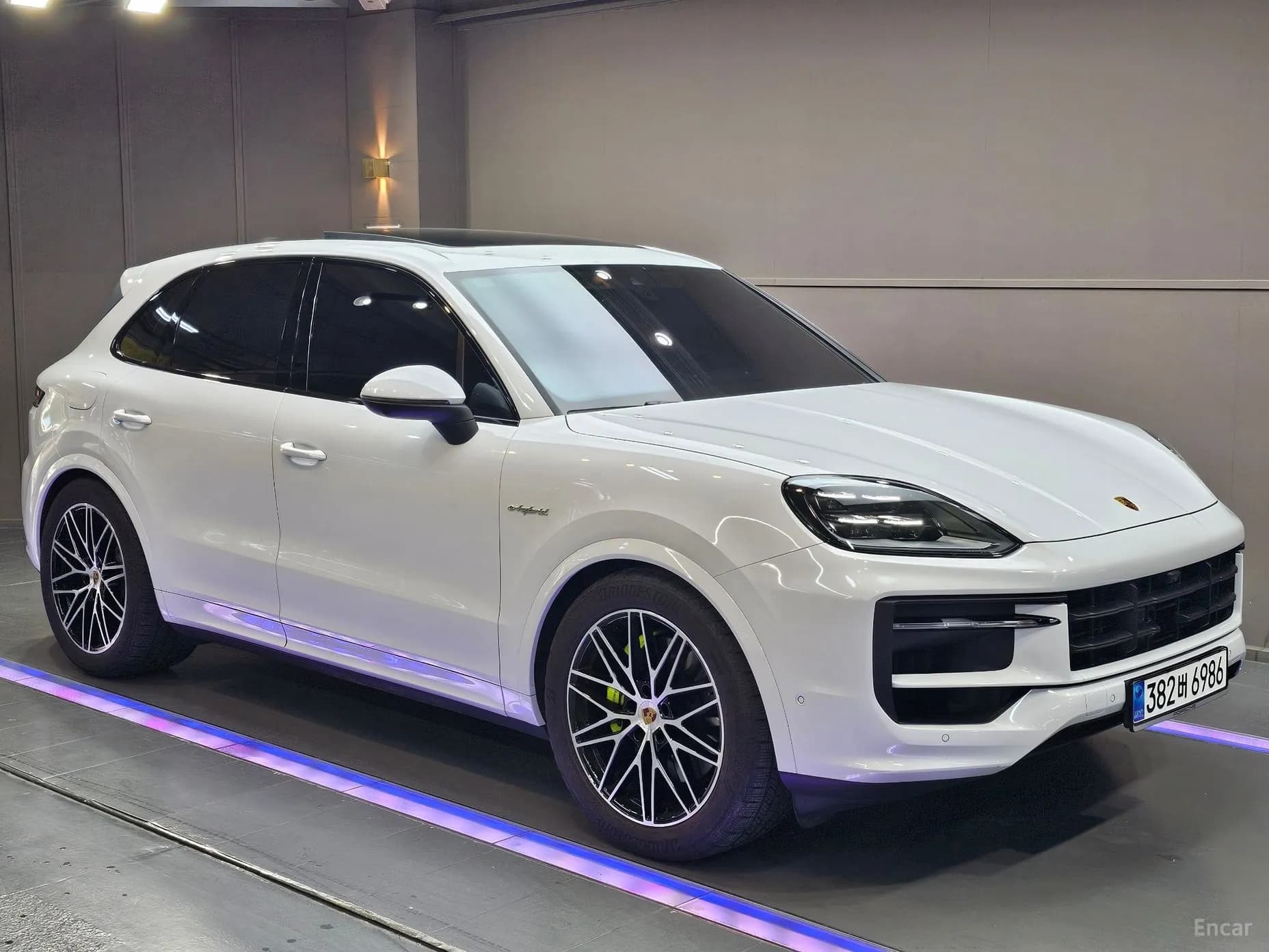 Cayenne (PO536)