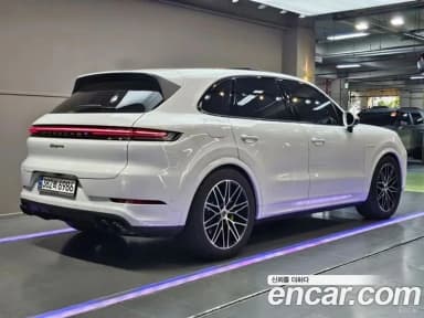Cayenne (PO536)