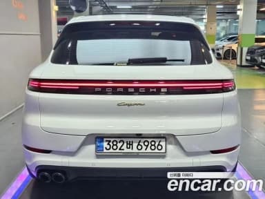 Cayenne (PO536)