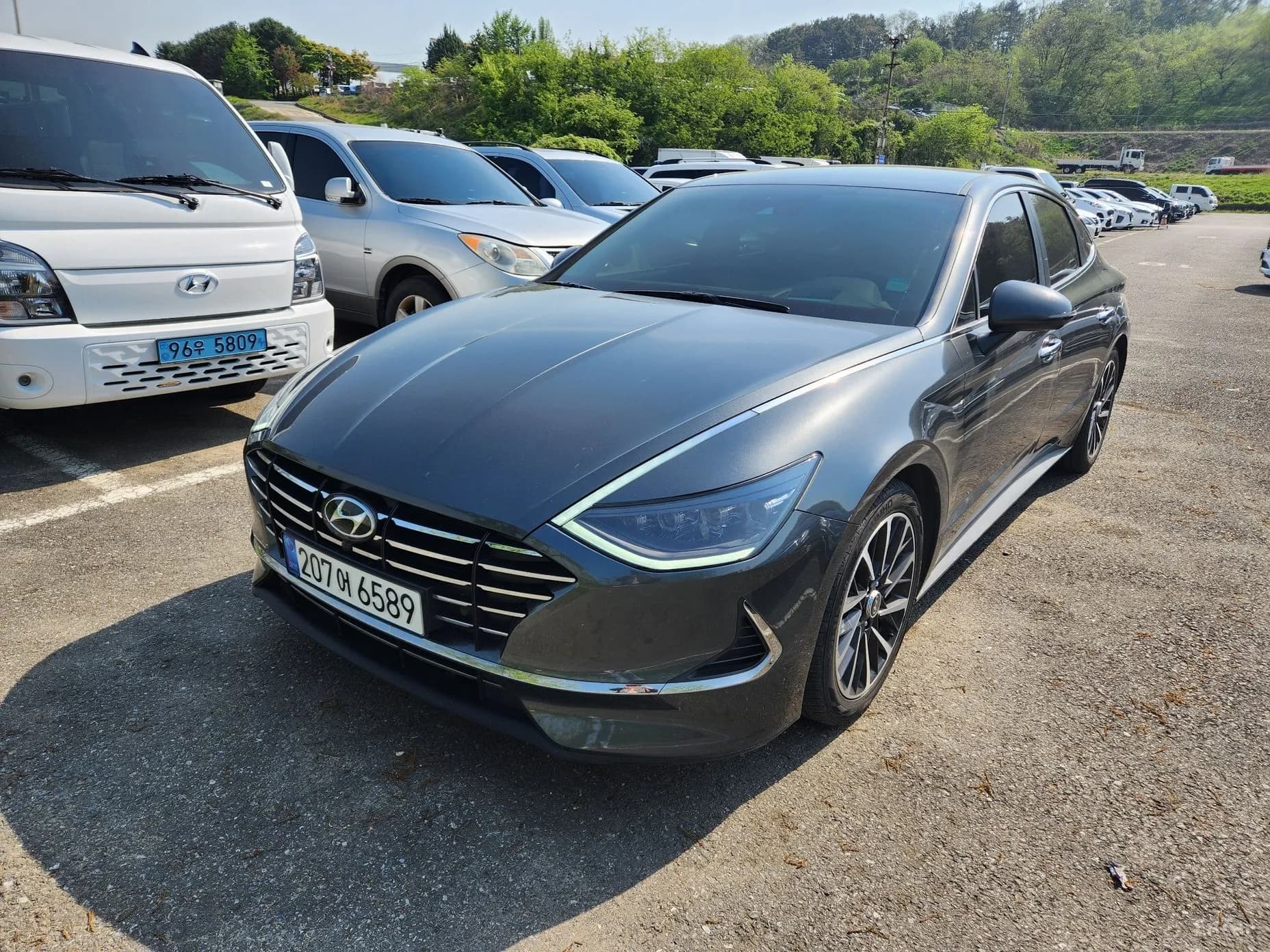 Sonata (DN8)