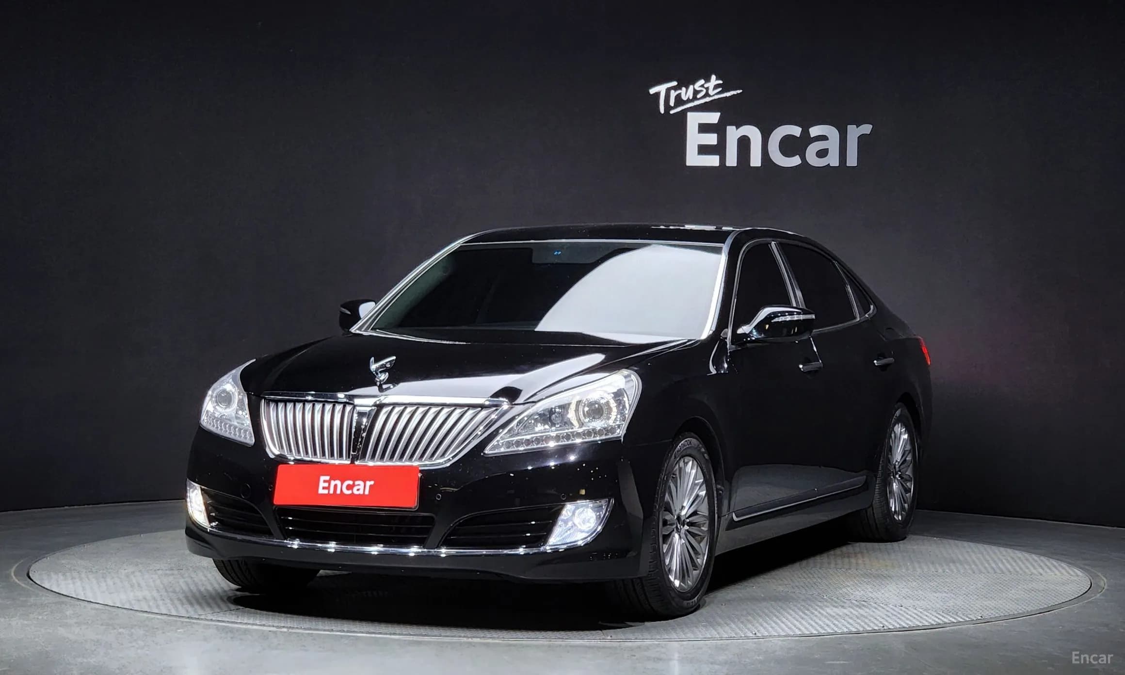 Equus (new)