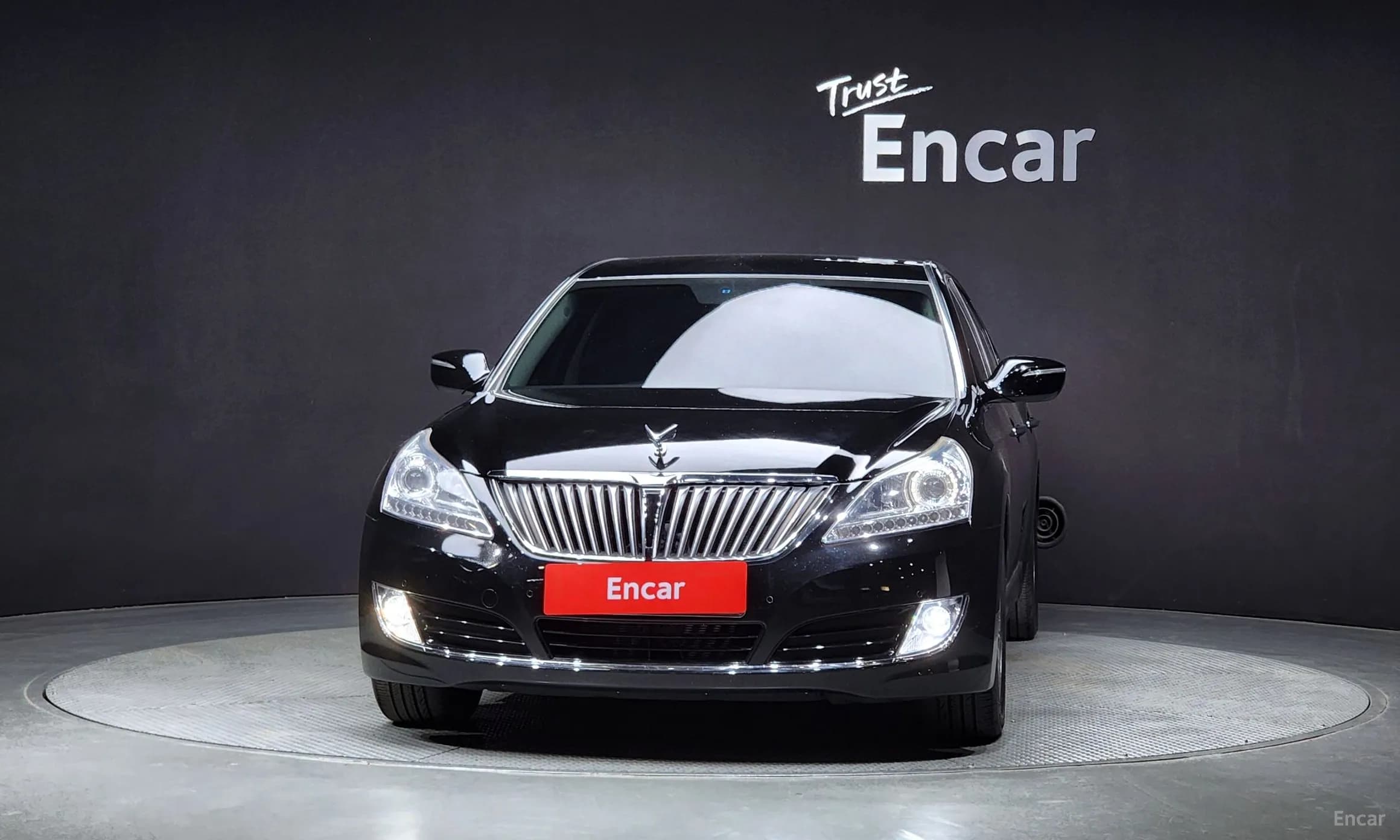 Equus (new)