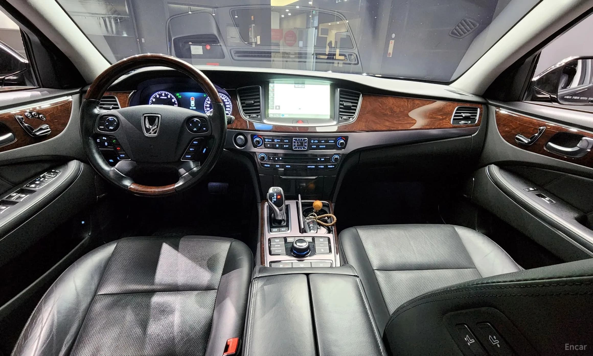 Equus (new)