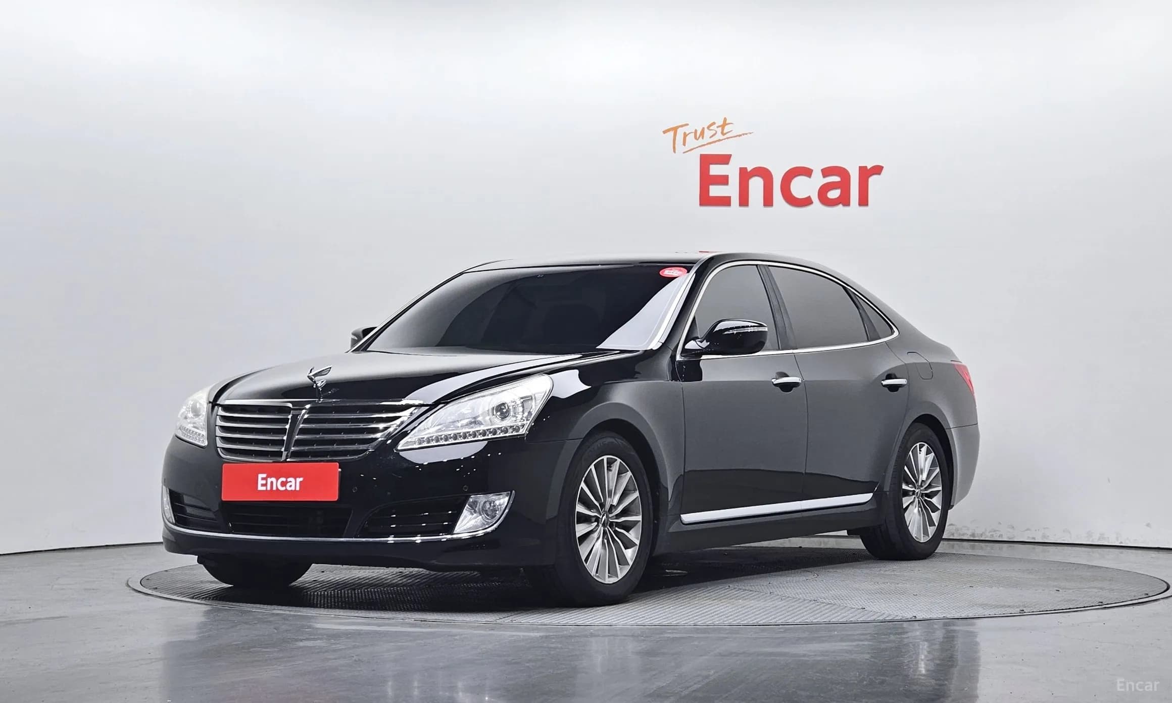 Equus (new)