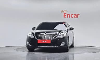 Equus (new)