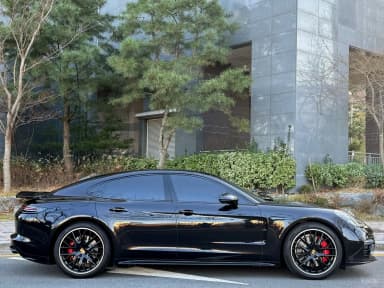 Panamera (971)