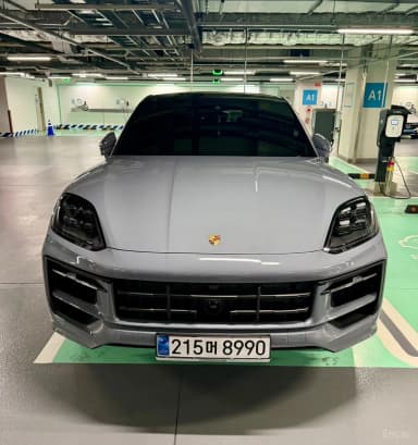 Cayenne (PO536)