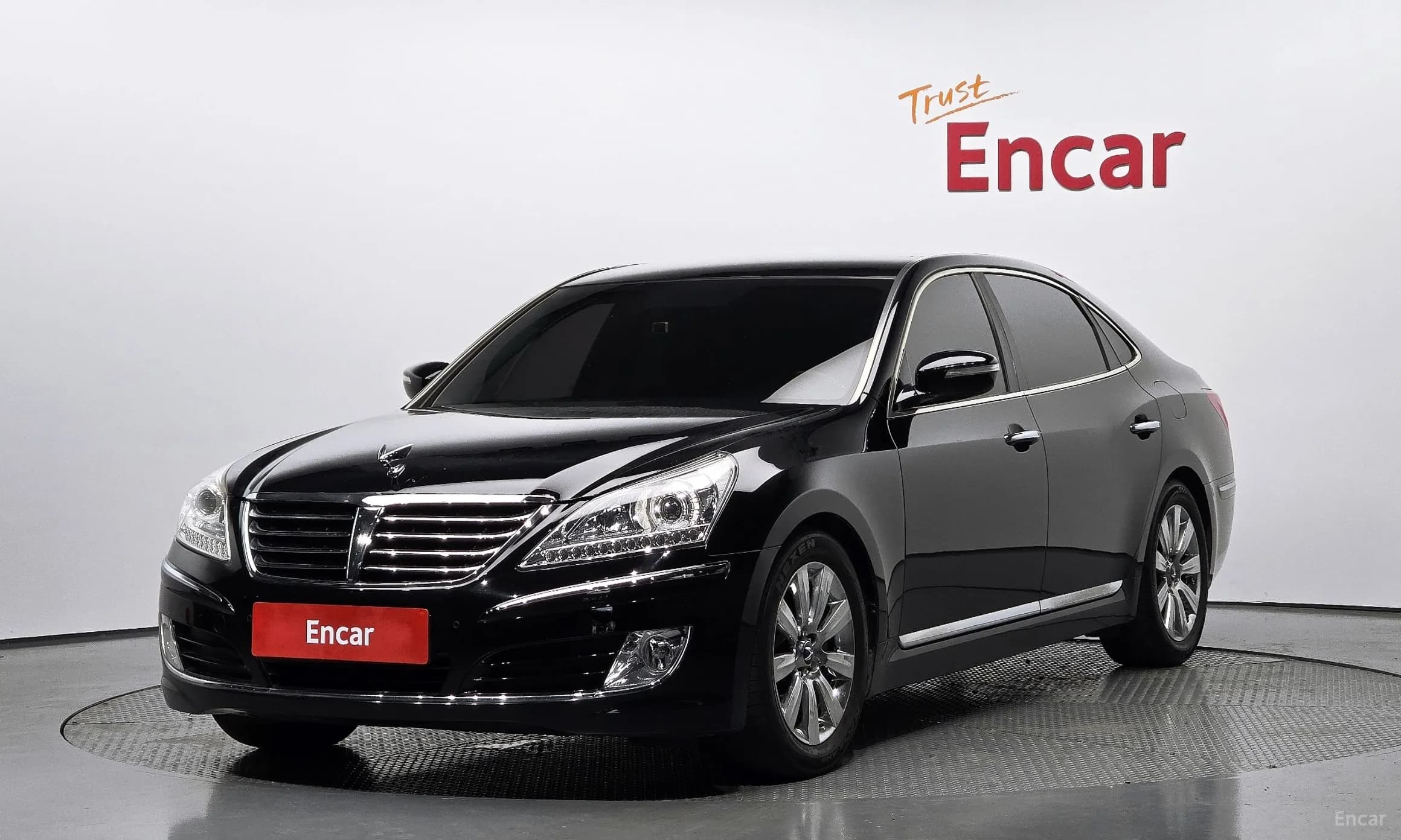 Equus (new)