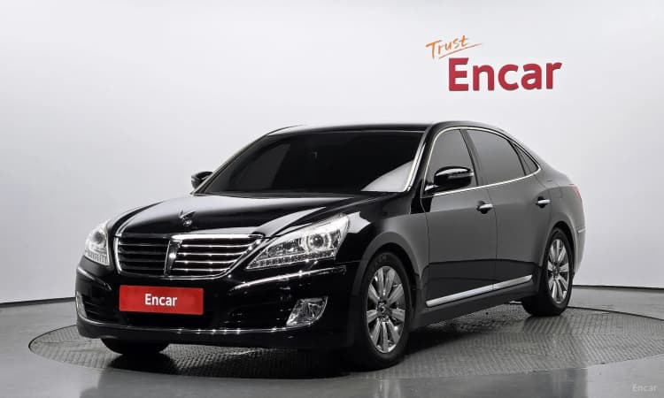 Equus (new)