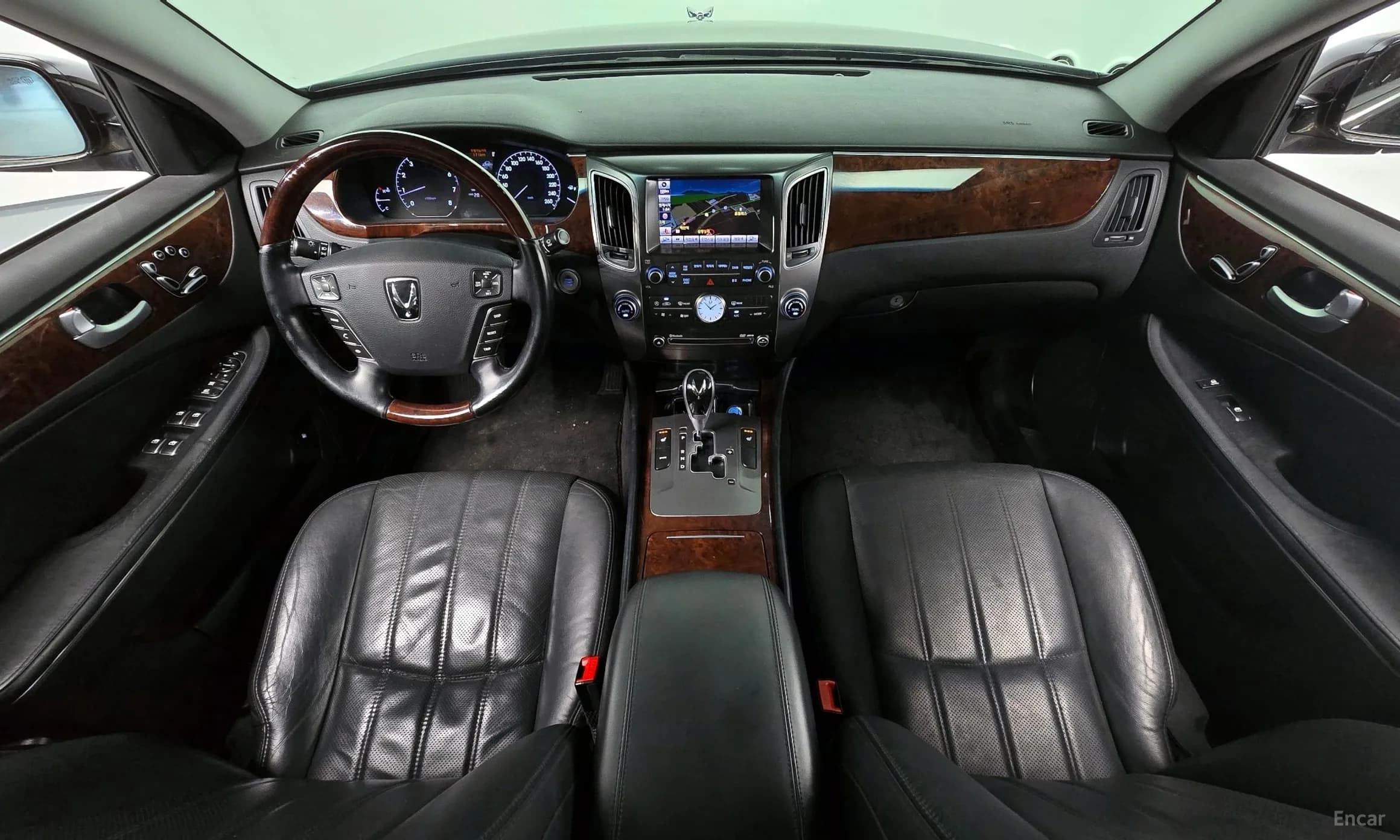Equus (new)