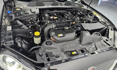 All New XJ