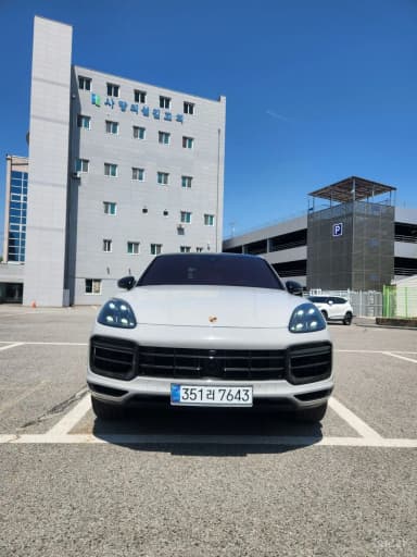 Cayenne (PO536)