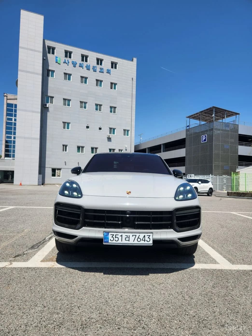 Cayenne (PO536)