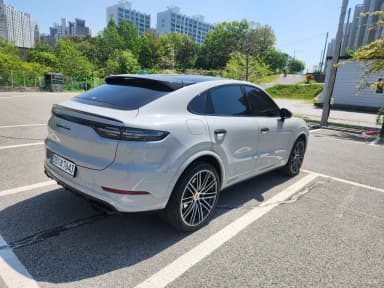 Cayenne (PO536)