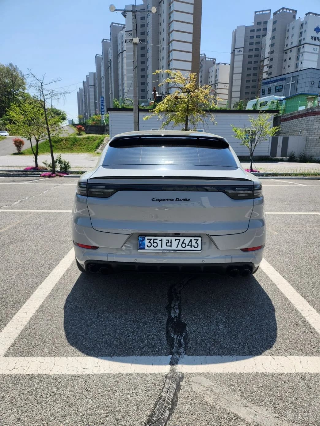 Cayenne (PO536)