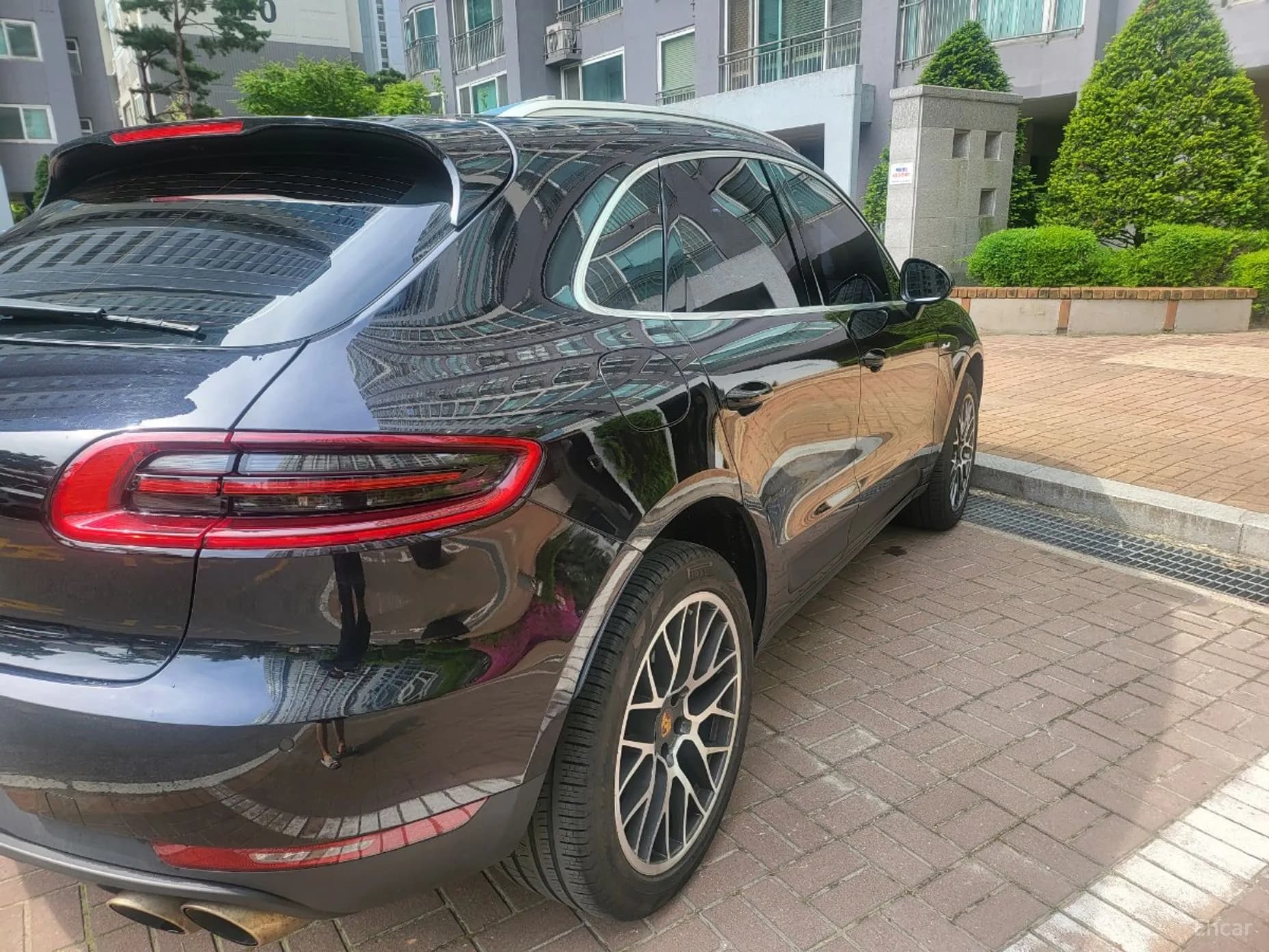 Macan