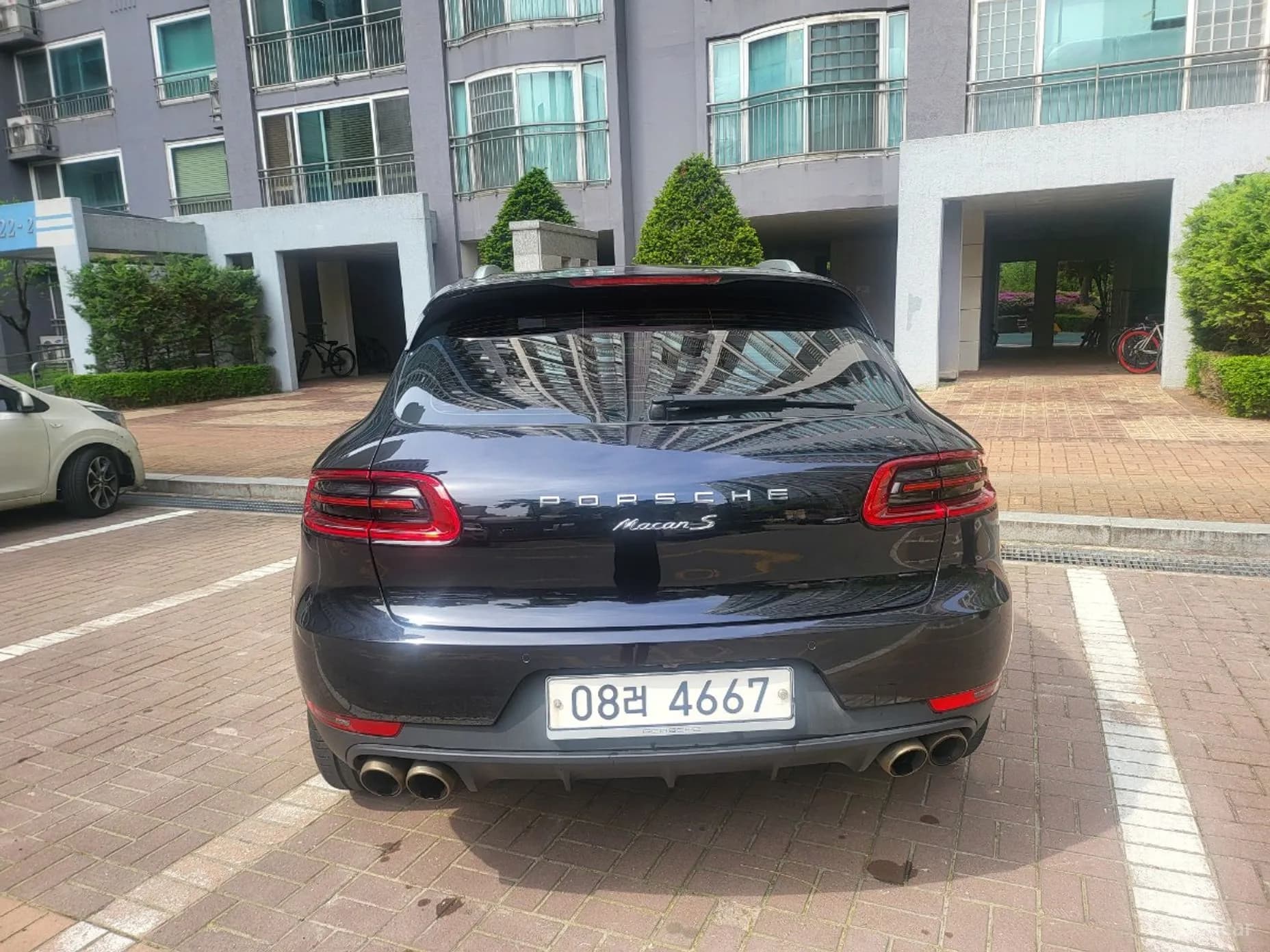 Macan