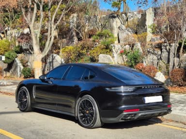 Panamera (971)