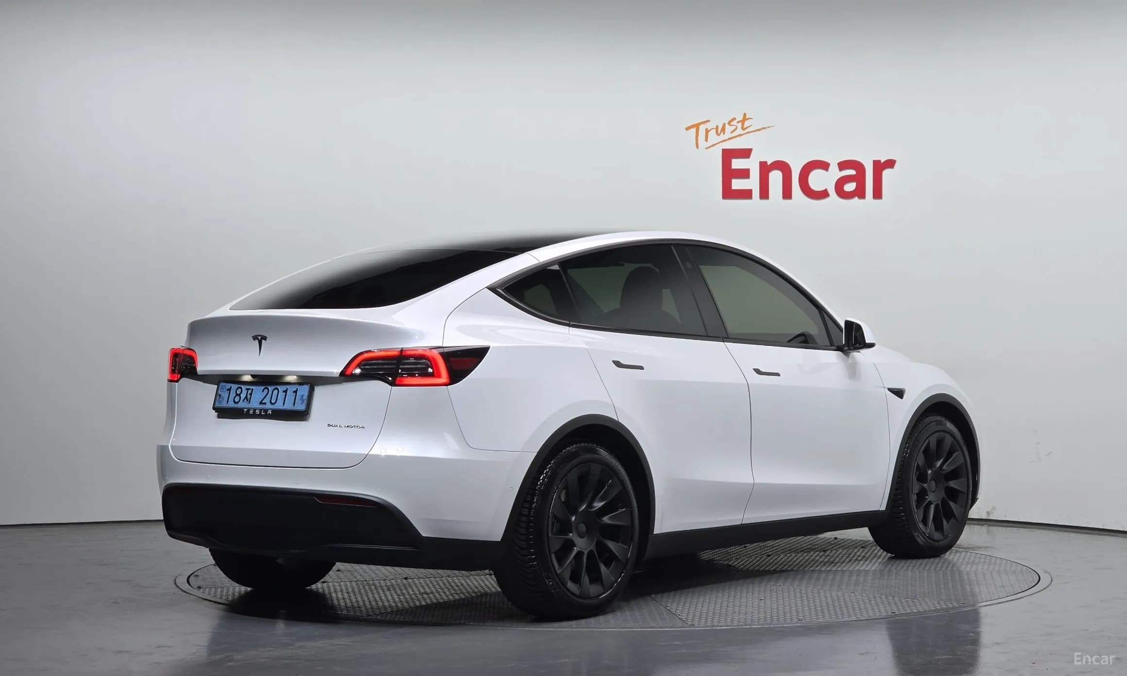 Model Y
