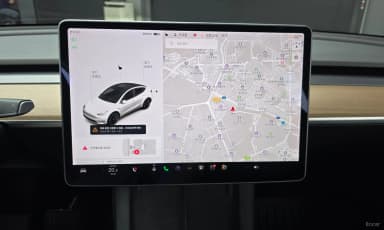 Model Y