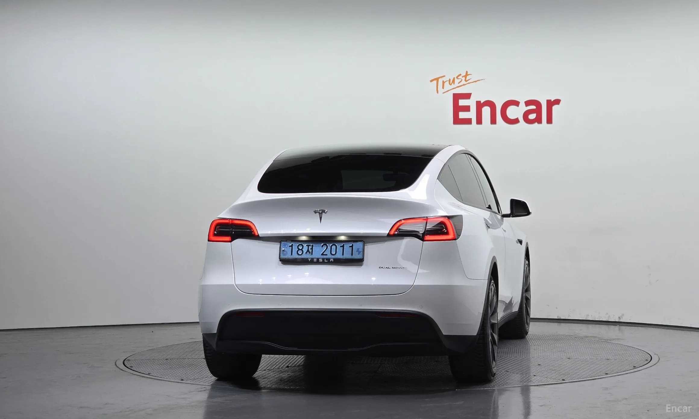 Model Y