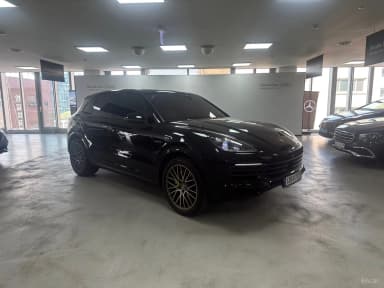 Cayenne (PO536)