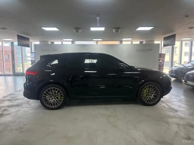 Cayenne (PO536)