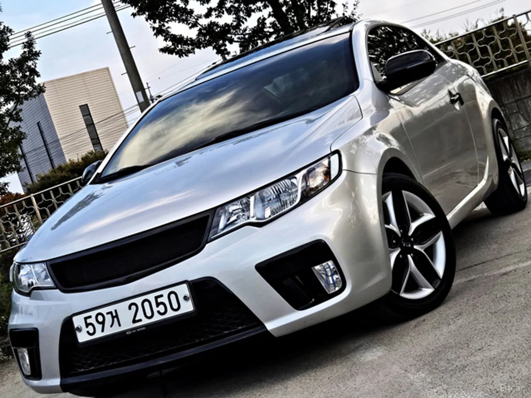 Forte Coop