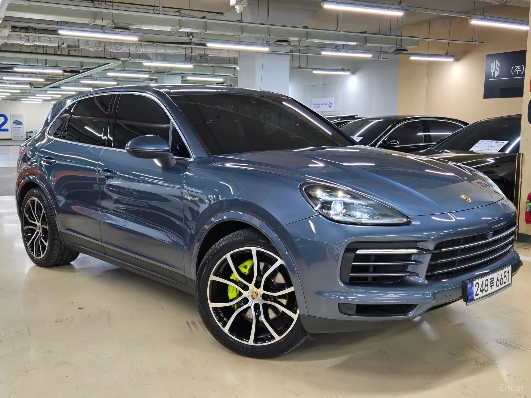 Cayenne (PO536)