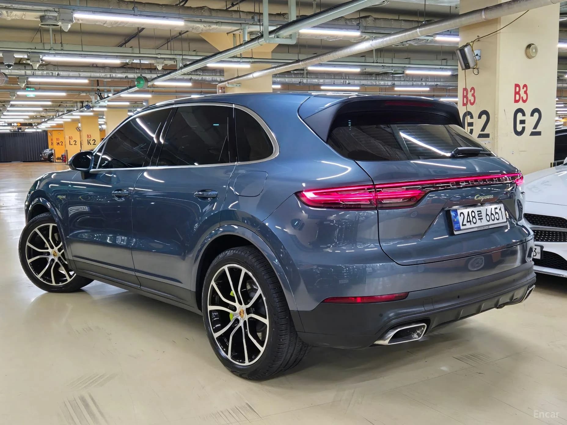 Cayenne (PO536)