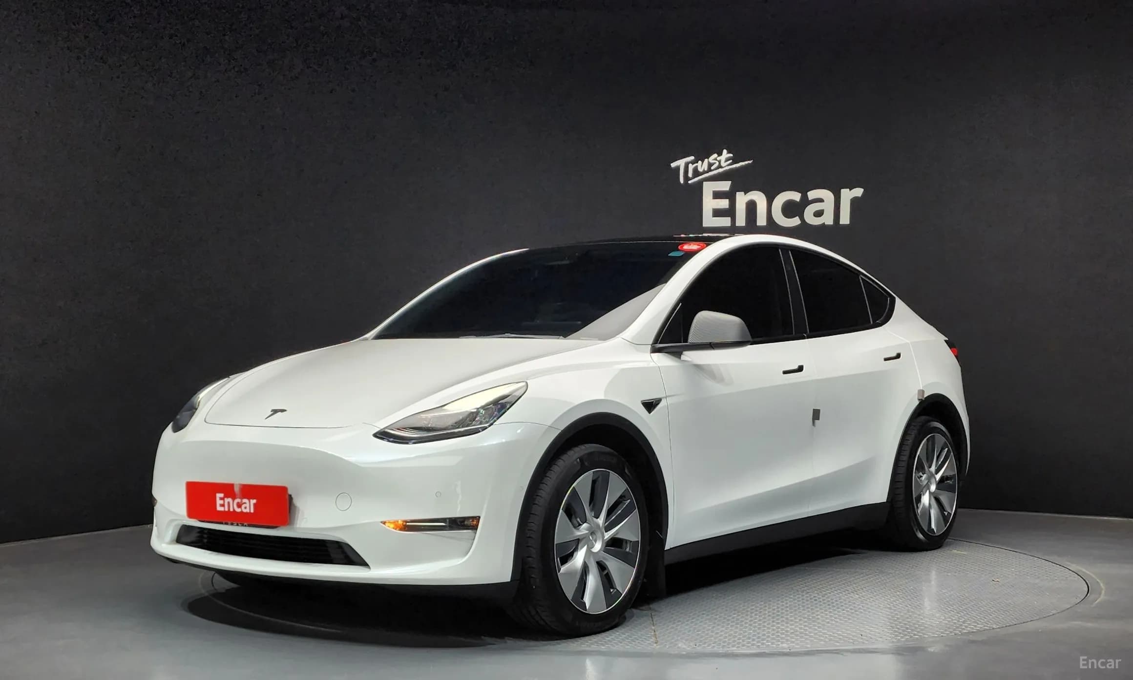 Model Y