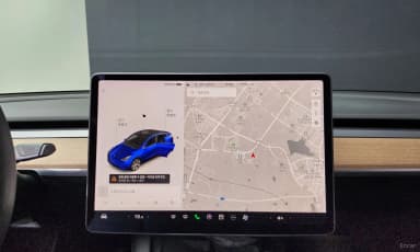 Model Y