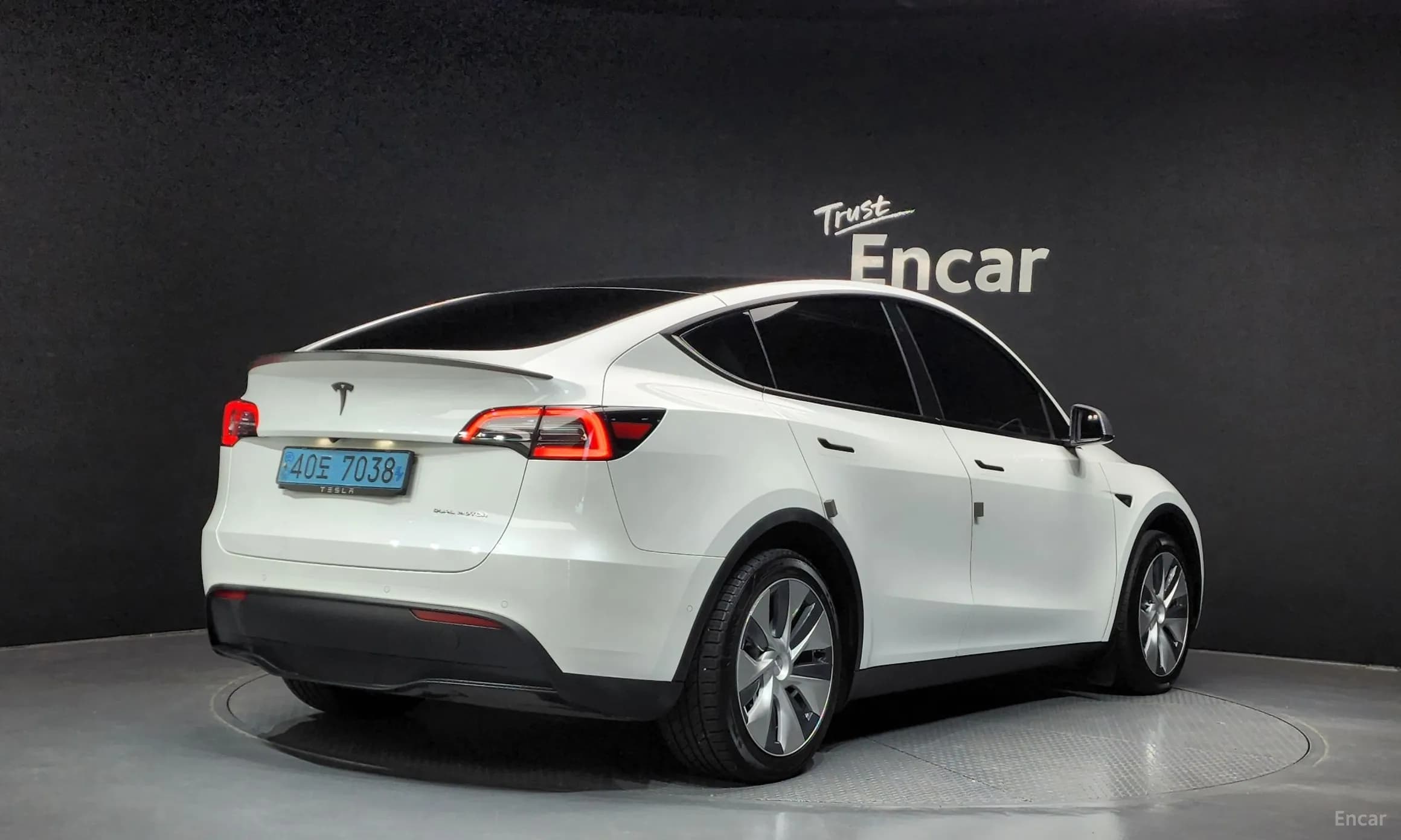 Model Y