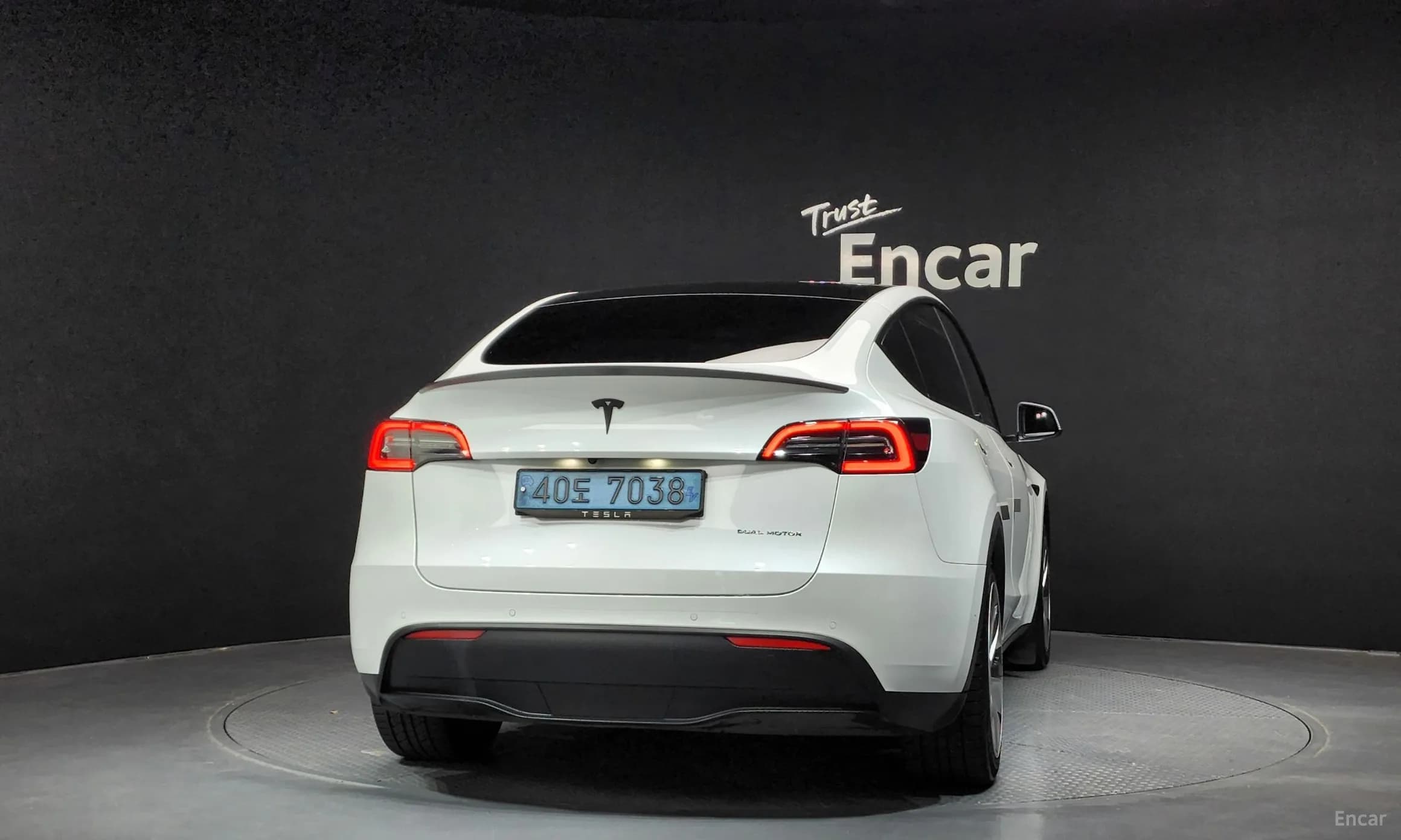 Model Y