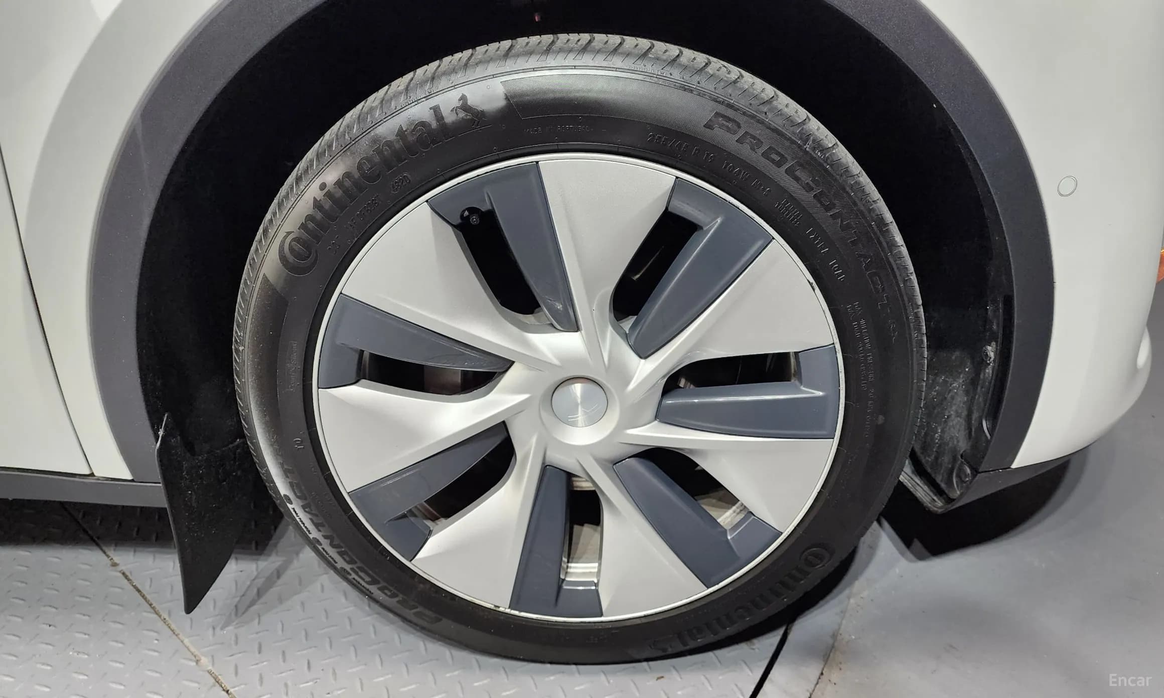 Model Y