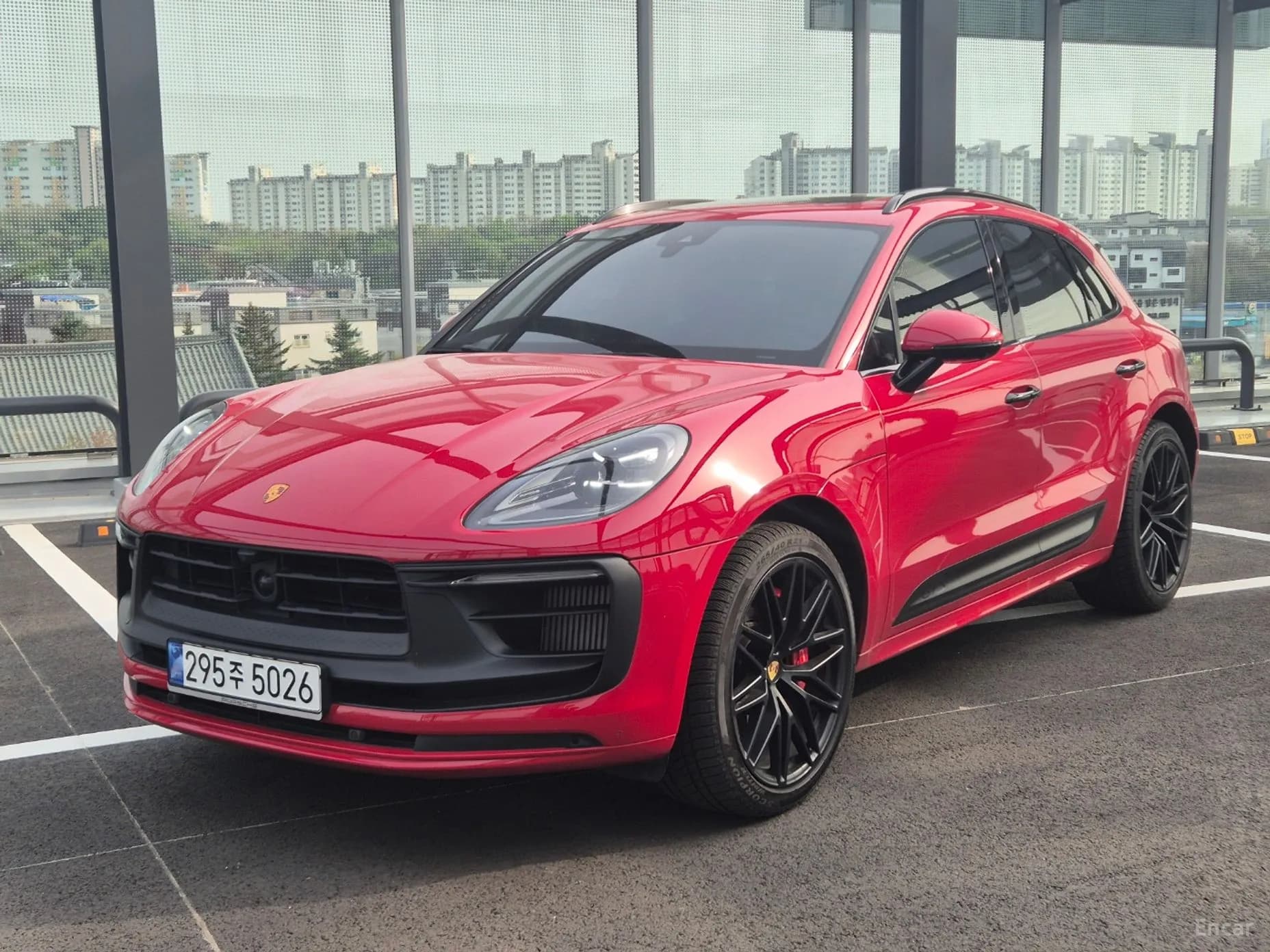 Macan