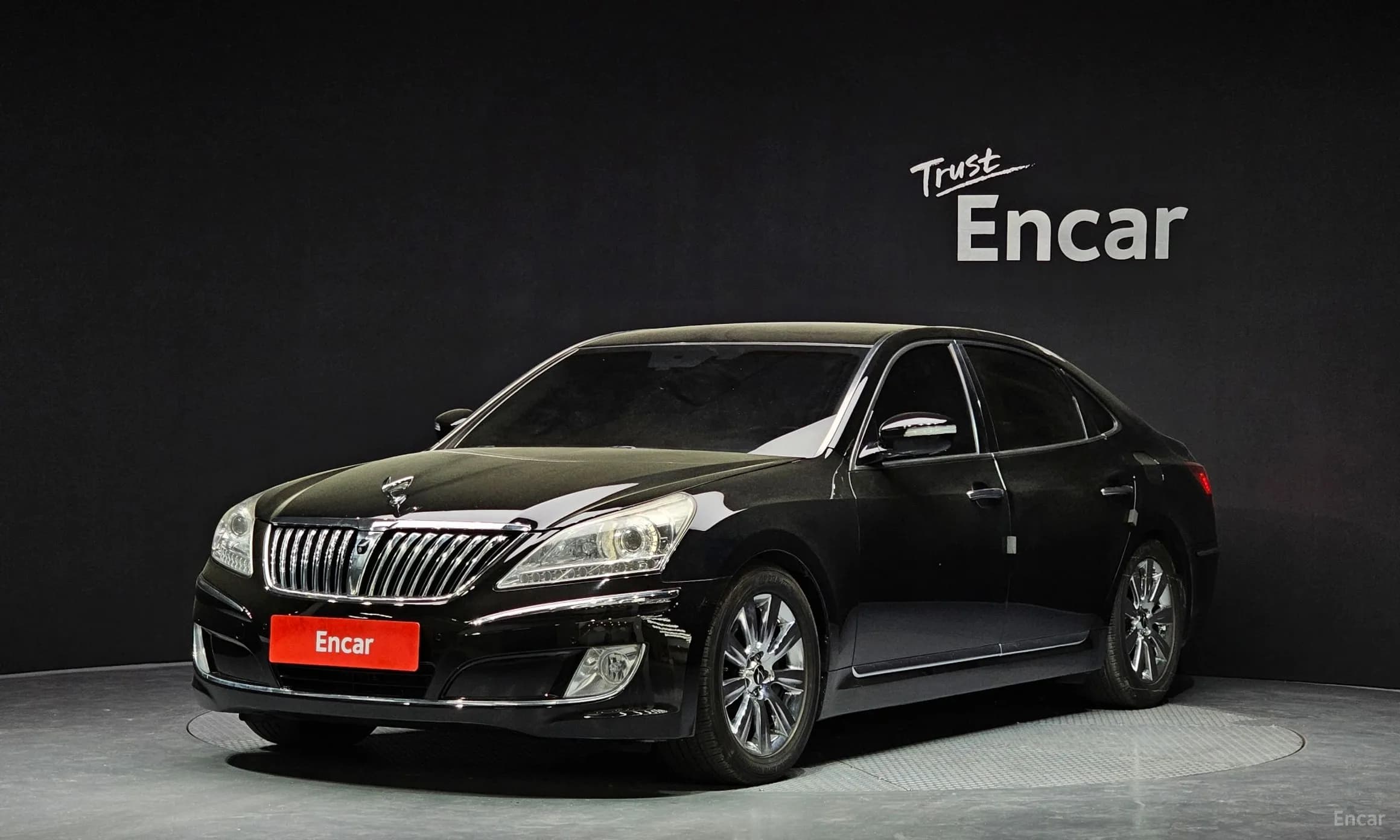 Equus (new)