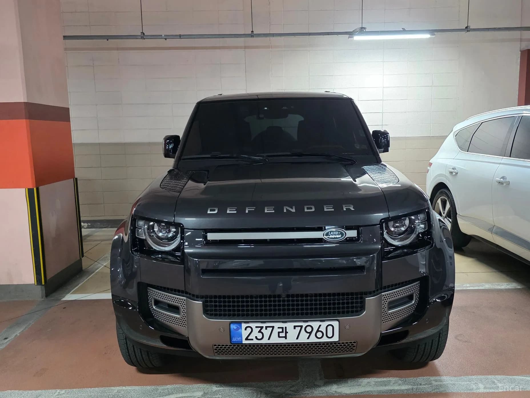 Defender (L663)