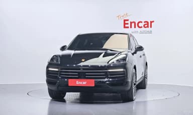 Cayenne (PO536)