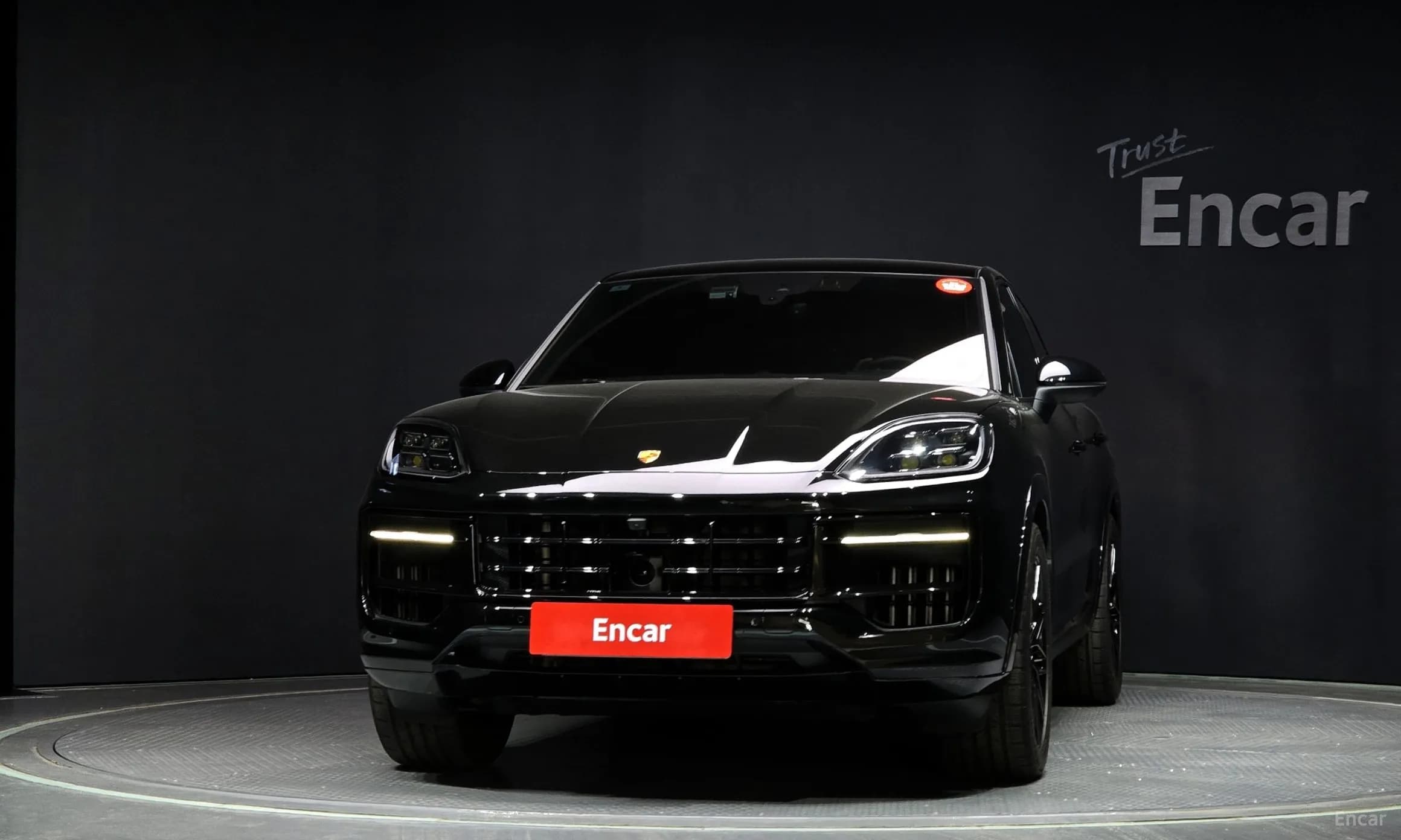 Cayenne (PO536)