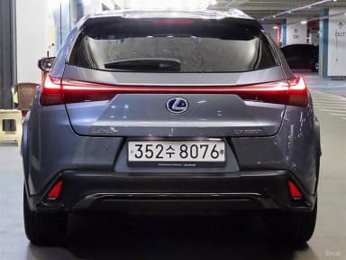 UX250h