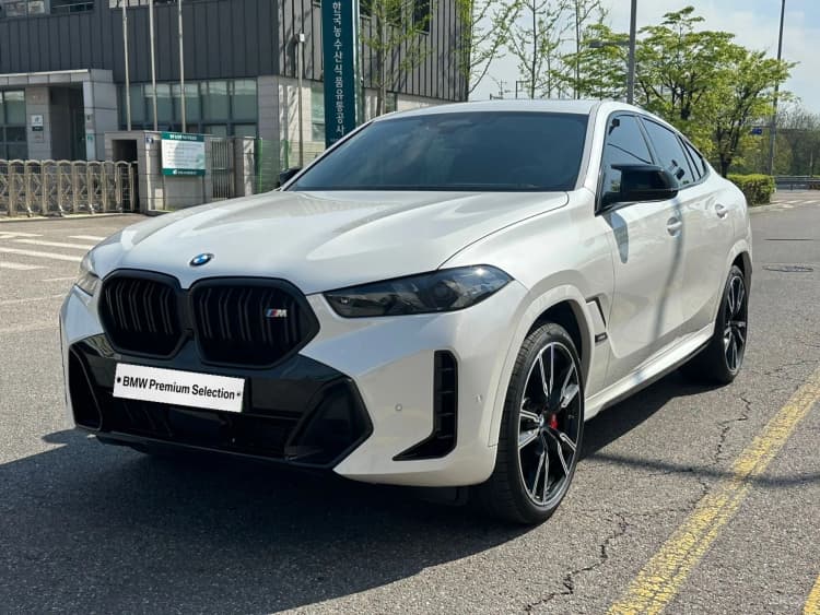 X6 (G06)
