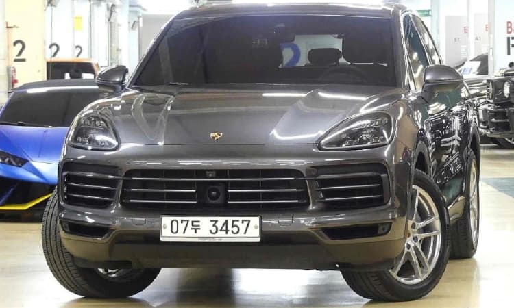 Cayenne (PO536)