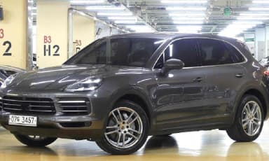 Cayenne (PO536)