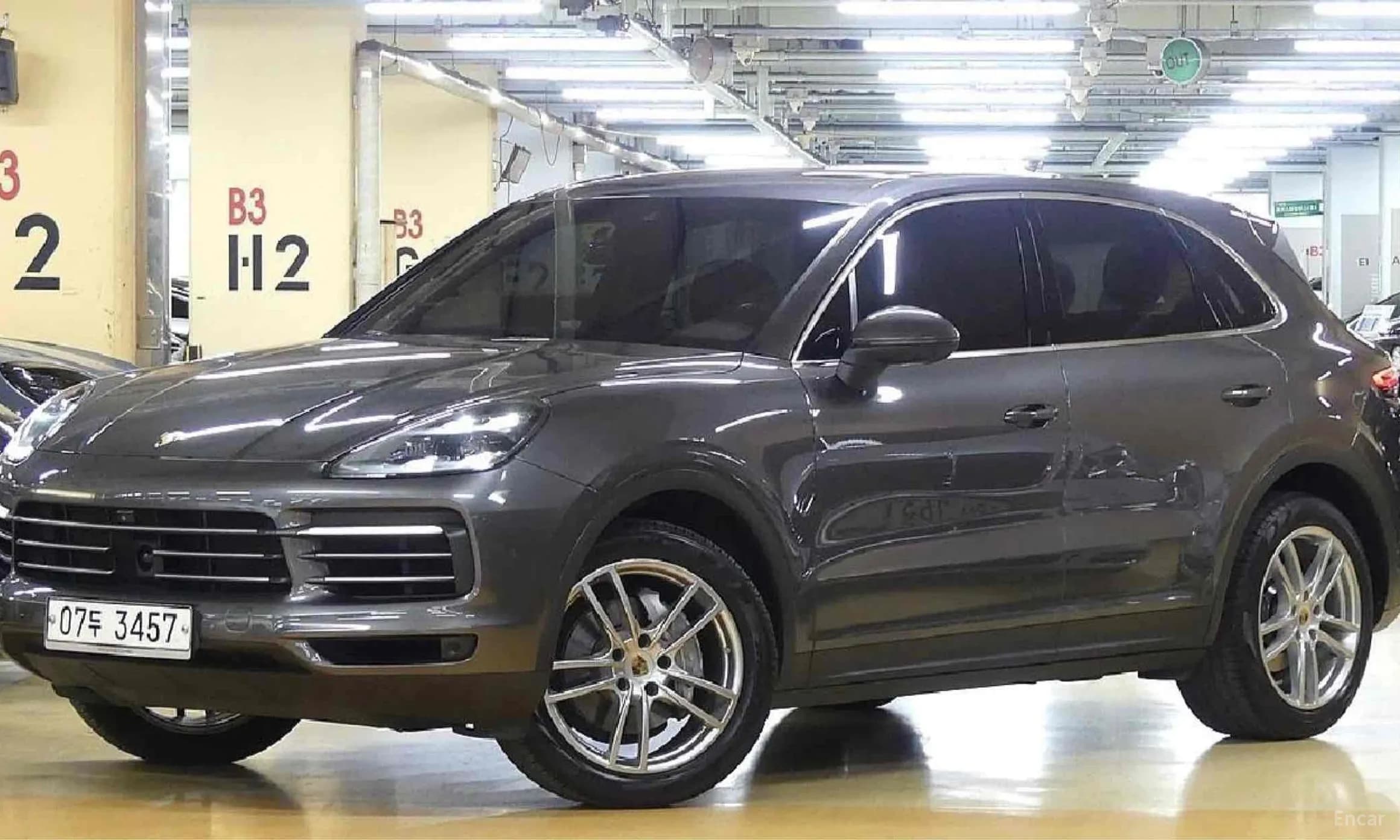 Cayenne (PO536)