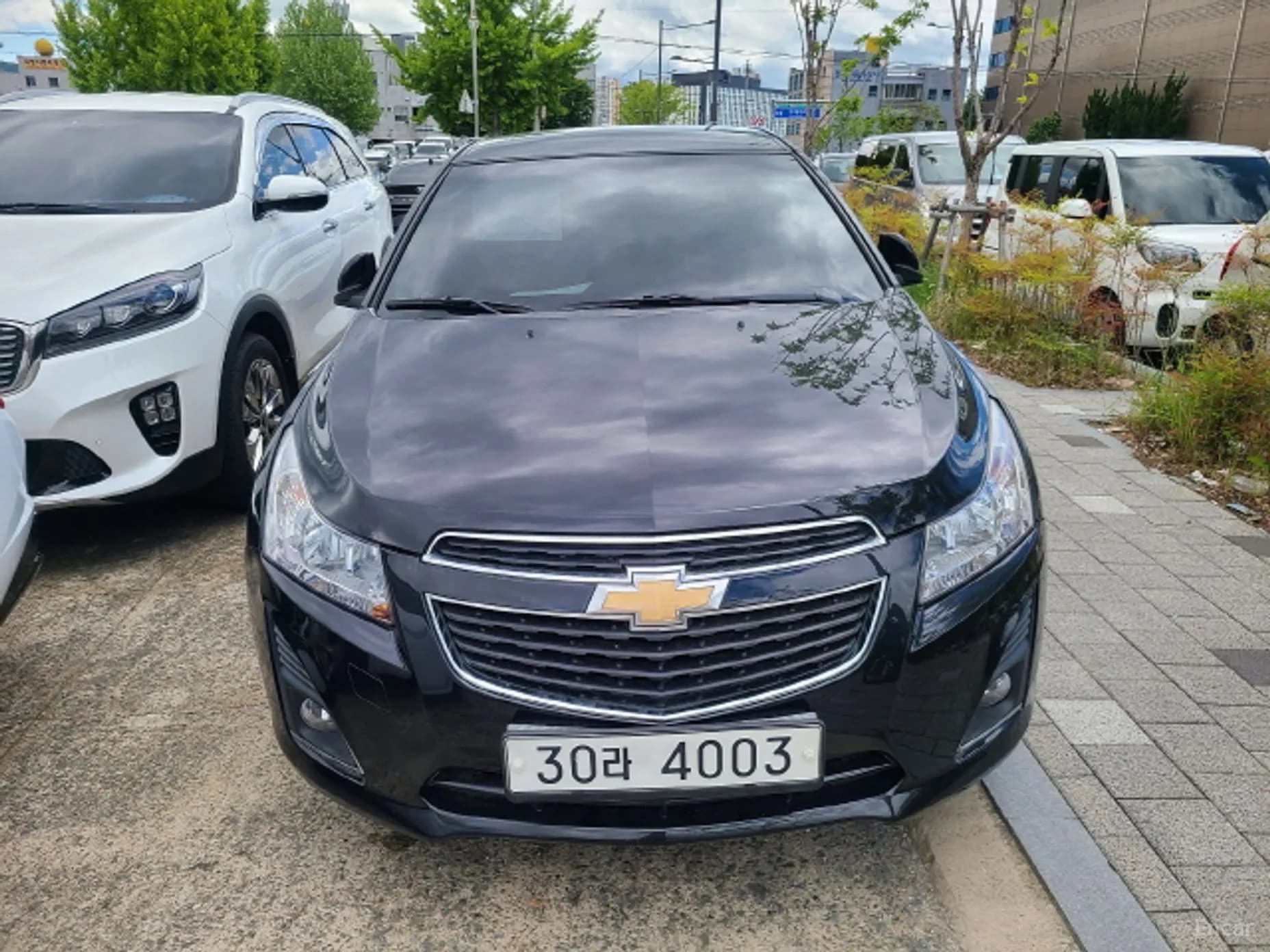 Cruze