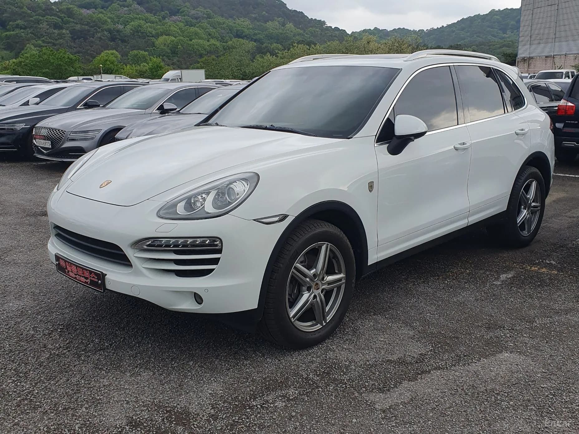 New Cayenne