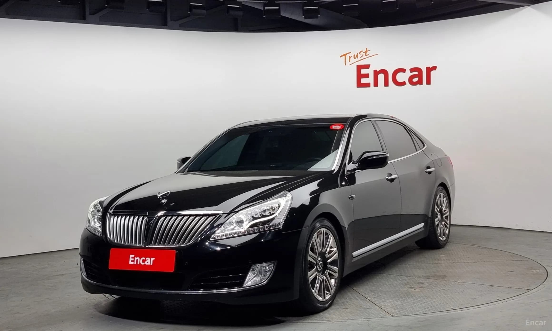 Equus (new)