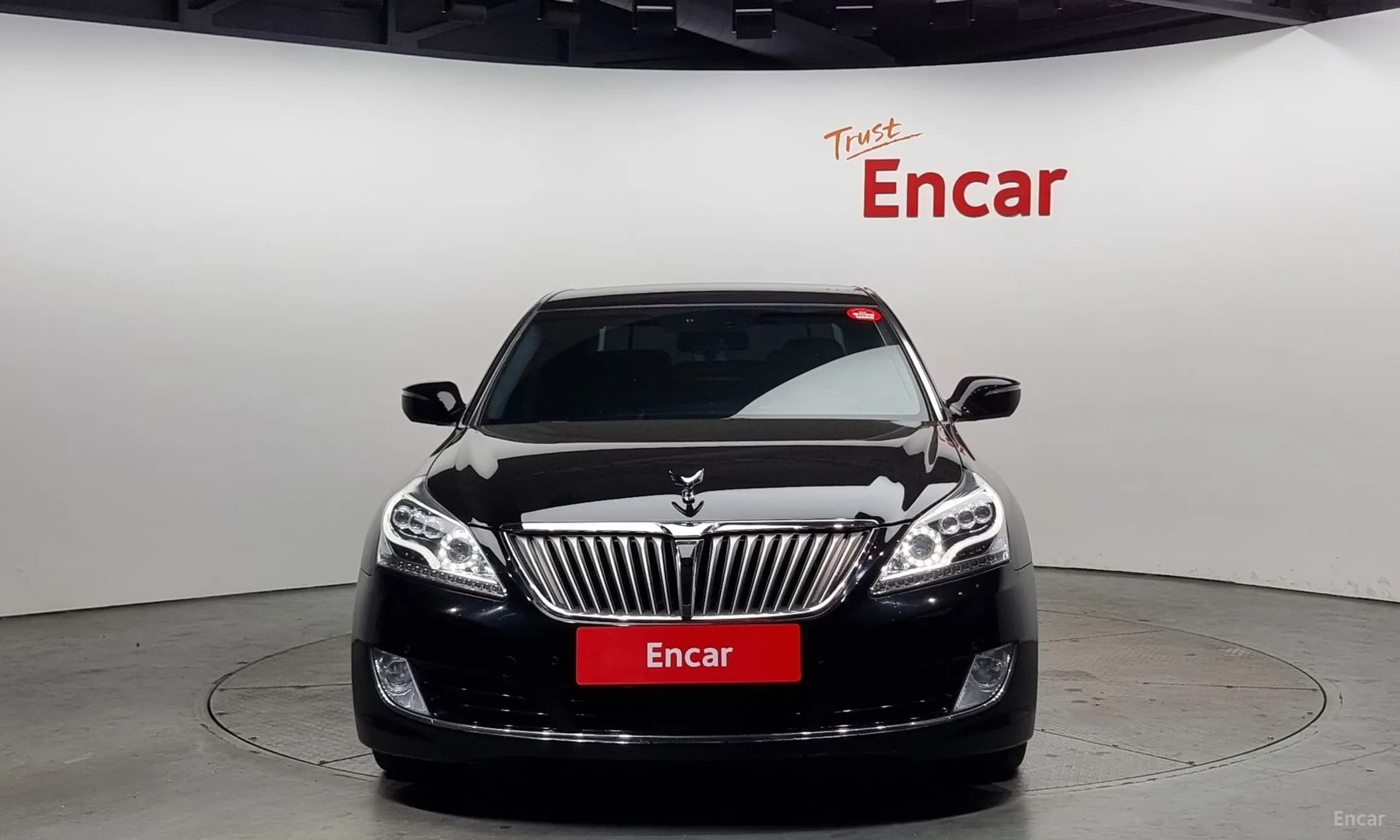 Equus (new)